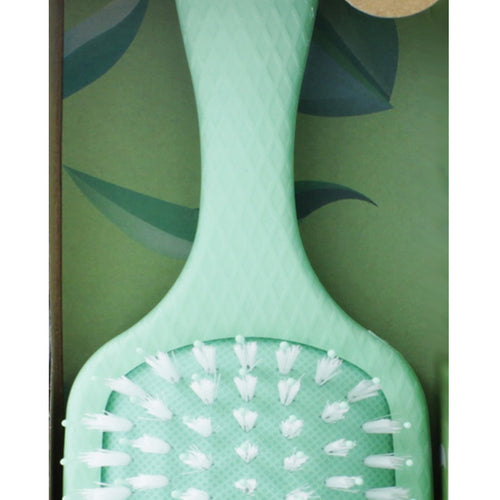Go Green Oil Infused Tea Tree Brush