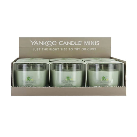 Cucumber Mint Cooler | Special Offer Candle Votive 6 Piece Pack